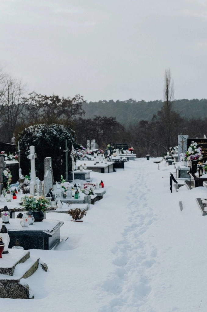 Hình cô gái mang tâm sự nhìn ra biển