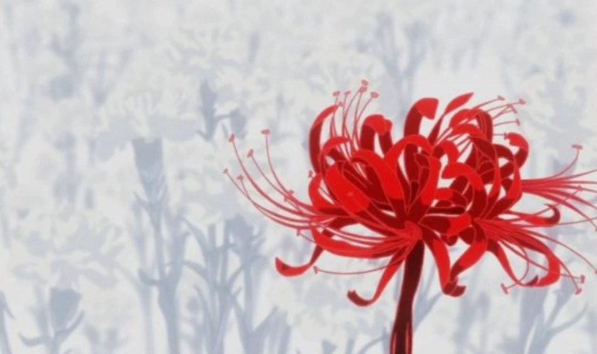 Hình nền hoa bỉ ngạn buồn anime mang vẻ đẹp ma mị và u sầu