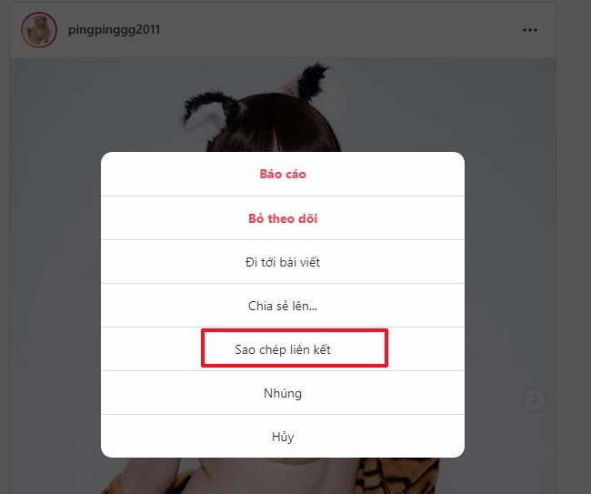 Hướng dẫn chi tiết các bước tải ảnh từ Instagram thông qua trình duyệt