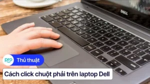 huong dan chi tiet cach click chuot phai tren laptop dell vo 295