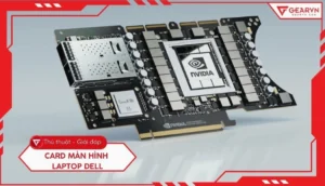 huong dan chi tiet cach kiem tra card man hinh laptop dell c 590