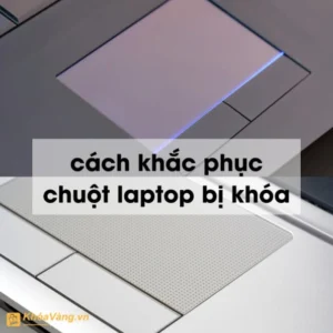 huong dan chi tiet cach mo chuot cam ung tren laptop dell nh 801