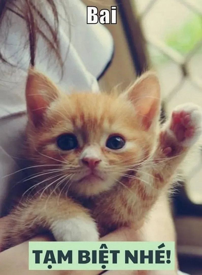 Không ai nỡ đi khi bạn gửi chào tạm biệt cute thế này