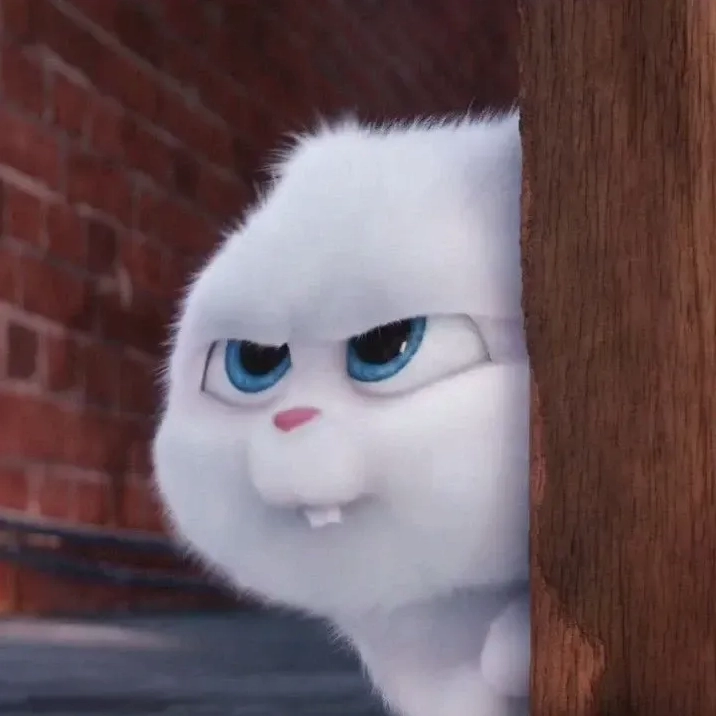 Khuôn mặt đắc ý của thỏ snowball meme 9