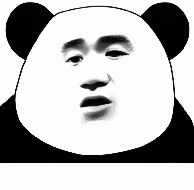 Khuôn mặt gấu trúc đầy thách thức sẵn sàng đối đầu với mọi rắc rối