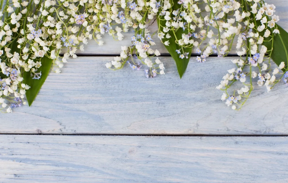 Lily of the valley wallpaper thanh khiết cổ điển kiêu sa