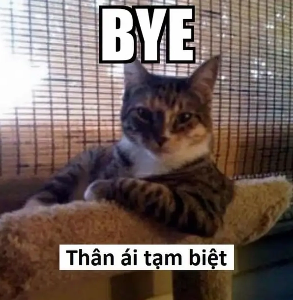 Lời cáo biệt bá đạo nhất mạng là cáo từ meme chuẩn phong cách