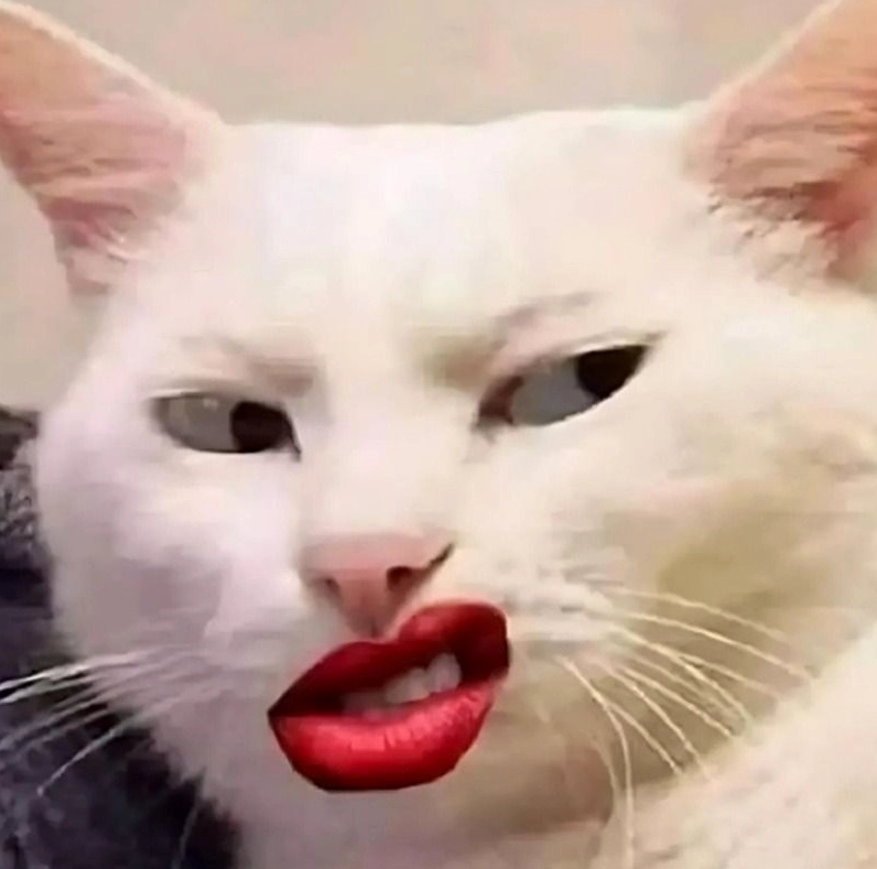 Trọn bộ meme cười đểu cực chất khiến bạn không thể nhịn cười 23 Lưu ý để sử dụng meme cười đểu một cách duyên dáng