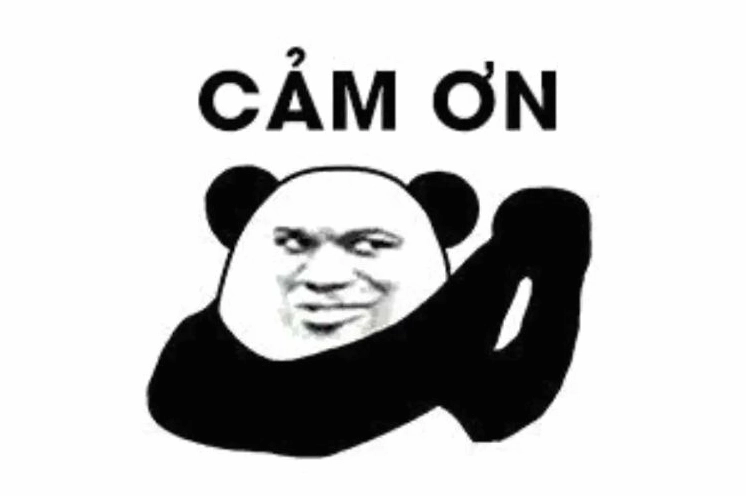 Lý do hình ảnh meme cảm ơn được sử dụng phổ biến trên mạng xã hội