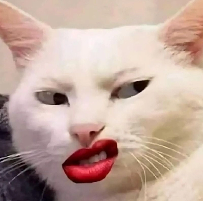 Trọn bộ meme cười đểu cực chất khiến bạn không thể nhịn cười 5 Lý do khiến biểu cảm meme cười đểu được yêu thích