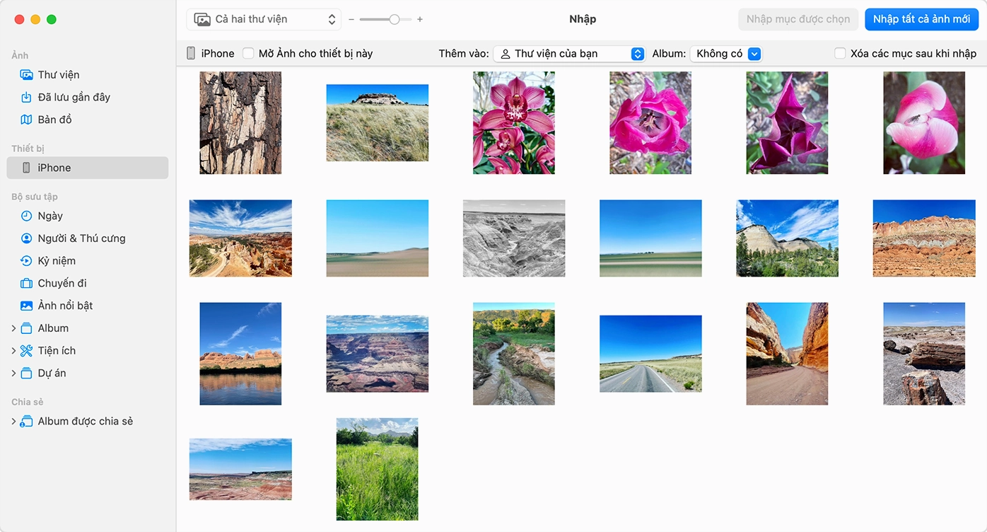 Màn hình ứng dụng Ảnh trên máy Mac hiển thị danh sách ảnh có thể nhập từ iPhone