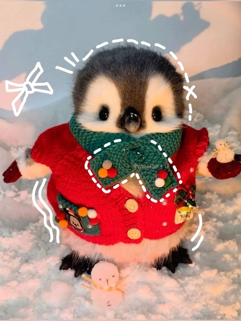 Meme cánh cụt vui nhộn với tư thế tấu hài khó đỡ