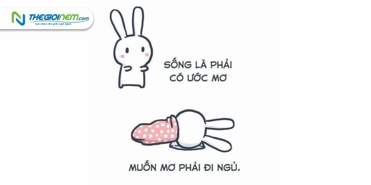 Meme chúc ngủ ngon độc đáo với lời nhắn nhủ yêu thương