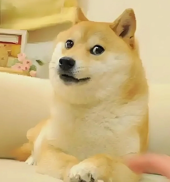 Meme con chó khinh bỉ cực kỳ lầy lội