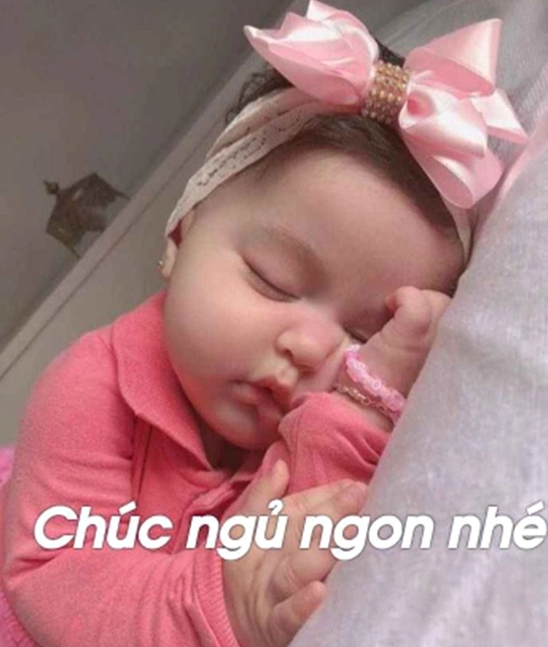 Meme dễ thương với đôi mắt to tròn lấp lánh xin chúc ngủ ngon