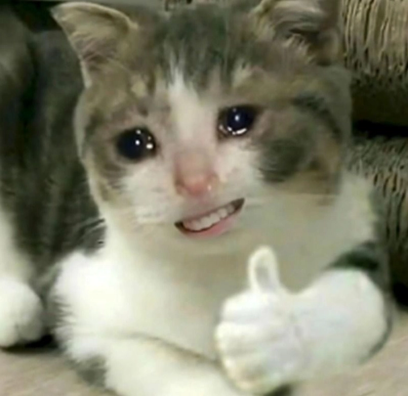 Trọn bộ meme cười đểu cực chất khiến bạn không thể nhịn cười 4 Meme động vật cười đểu gây sốt cộng đồng mạng