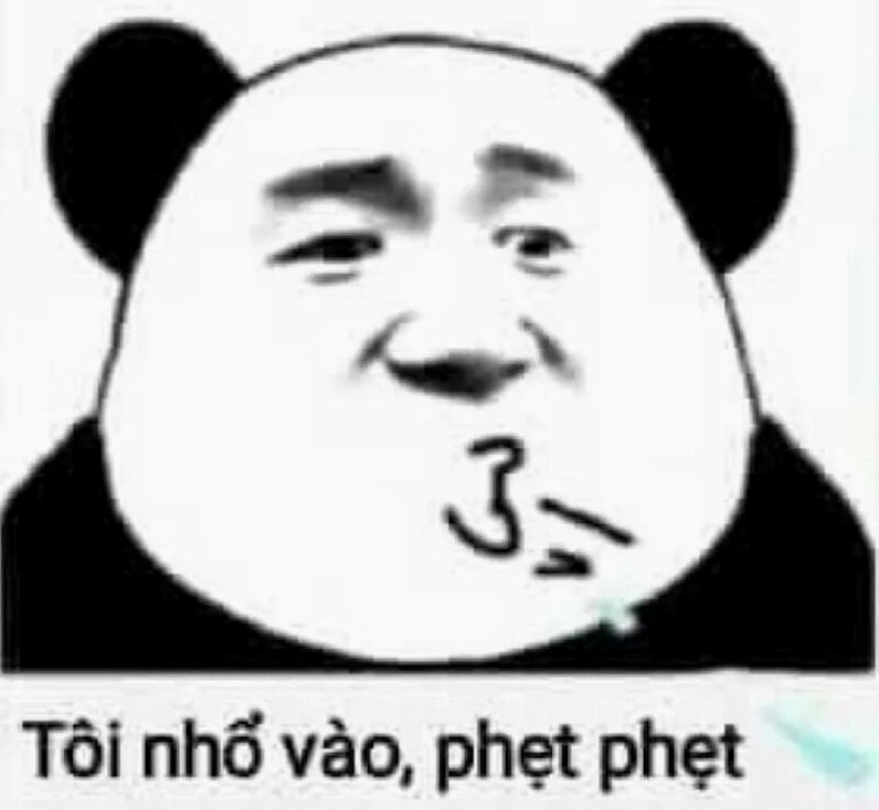 Meme gấu trúc hành động thách thức