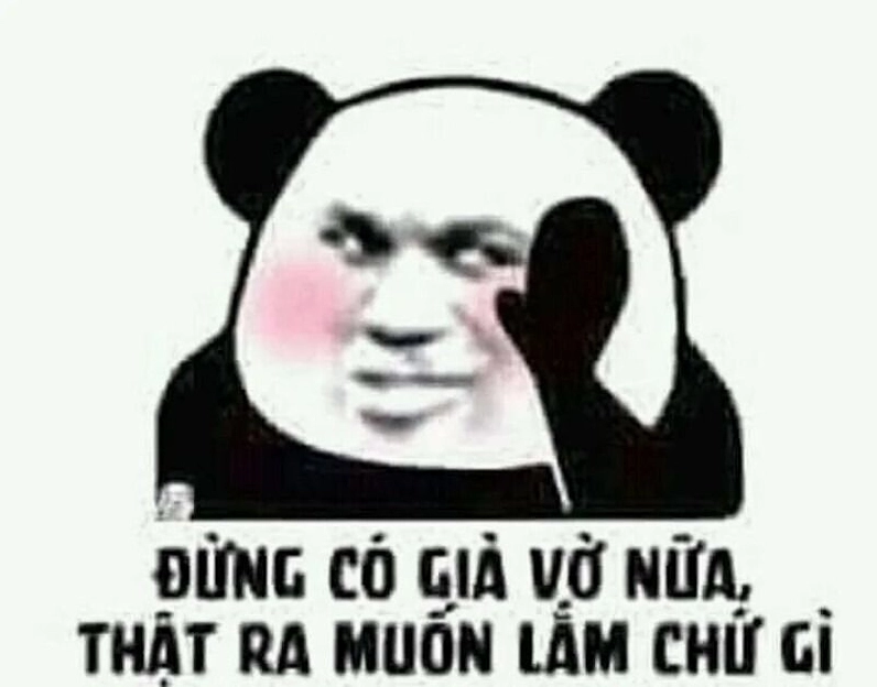 Meme gấu trúc hành động tự tin