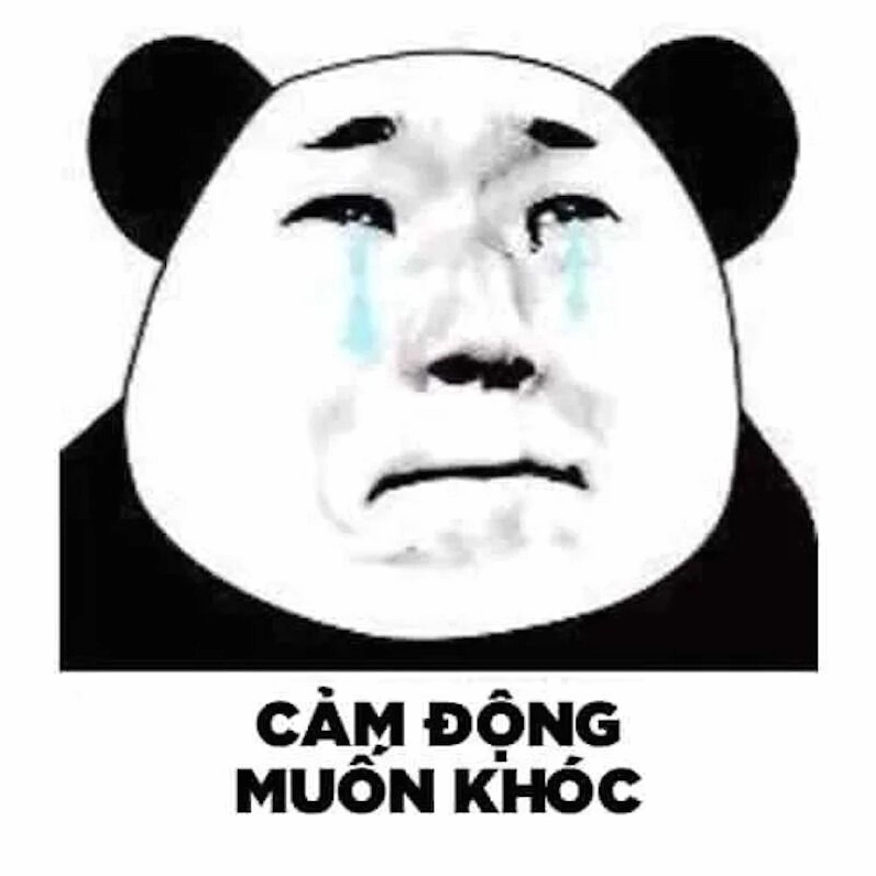 Meme gấu trúc hiện đại chỉ trích