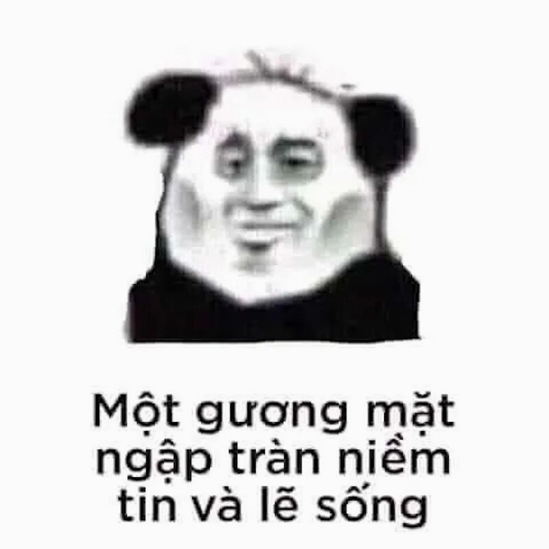 Meme gấu trúc hiện đại trầm cảm