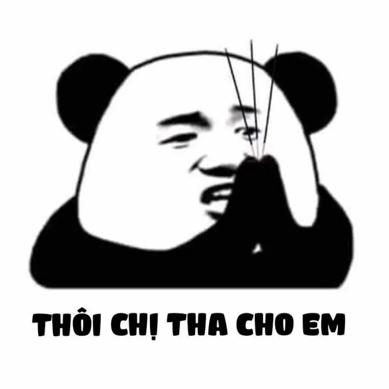 Meme gấu trúc xin lỗi với vẻ mặt ngây thơ vô số tội
