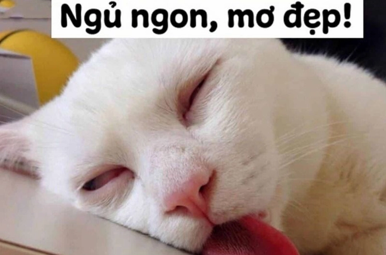 Meme giải thích chúc ngủ ngon là gì qua một tình huống hài hước