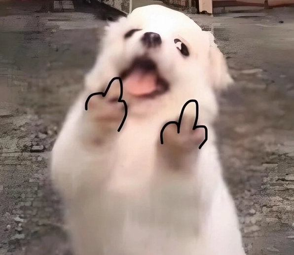 Meme mặt khinh bỉ với độ phân giải cao sắc nét