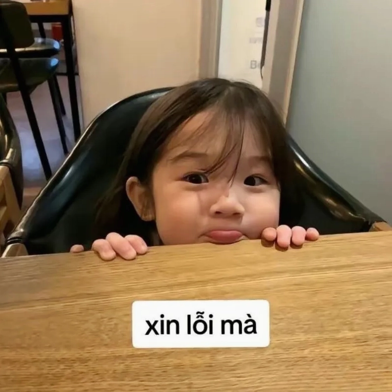 Meme một cái cúi đầu xin lỗi chân thành và đáng yêu
