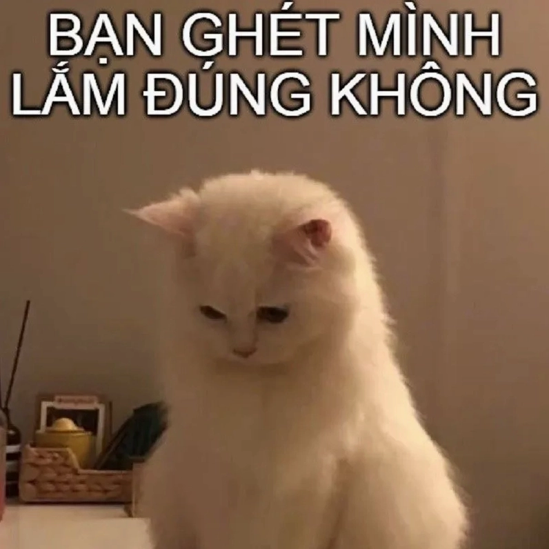 Meme quỳ xuống xin lỗi vừa lầy lội vừa chân thành