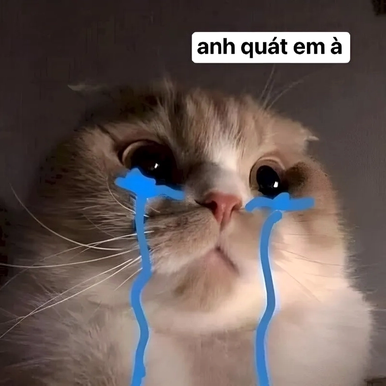Meme xin lỗi cute không thể thiếu khi dỗ dành người yêu