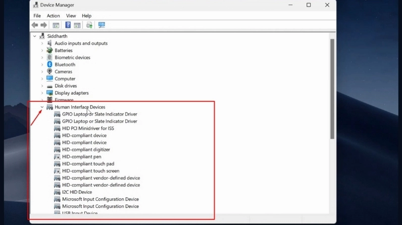 Mở mục Human Interface Devices