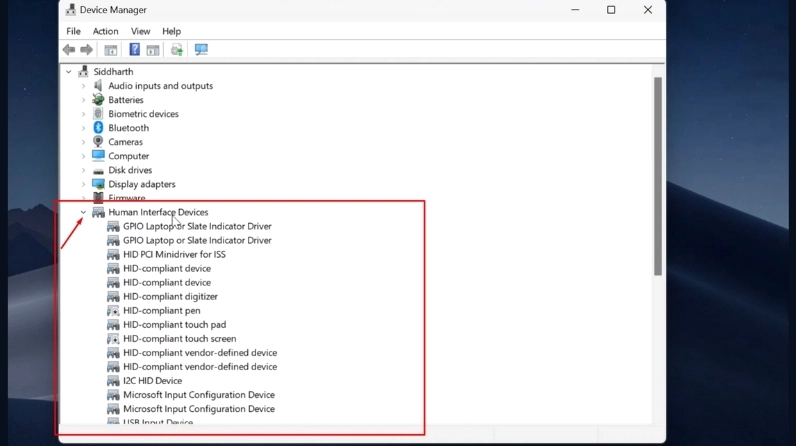 Mở rộng mục Human Interface Devices trong Device Manager