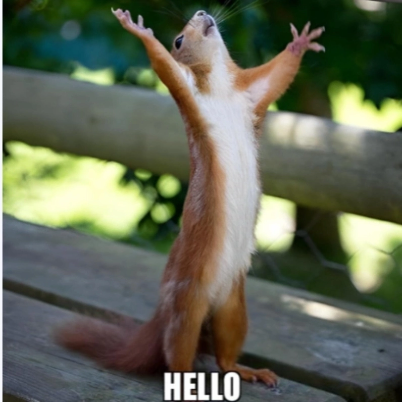 Mỗi lần gặp lại là một lần chill với hello everyone meme