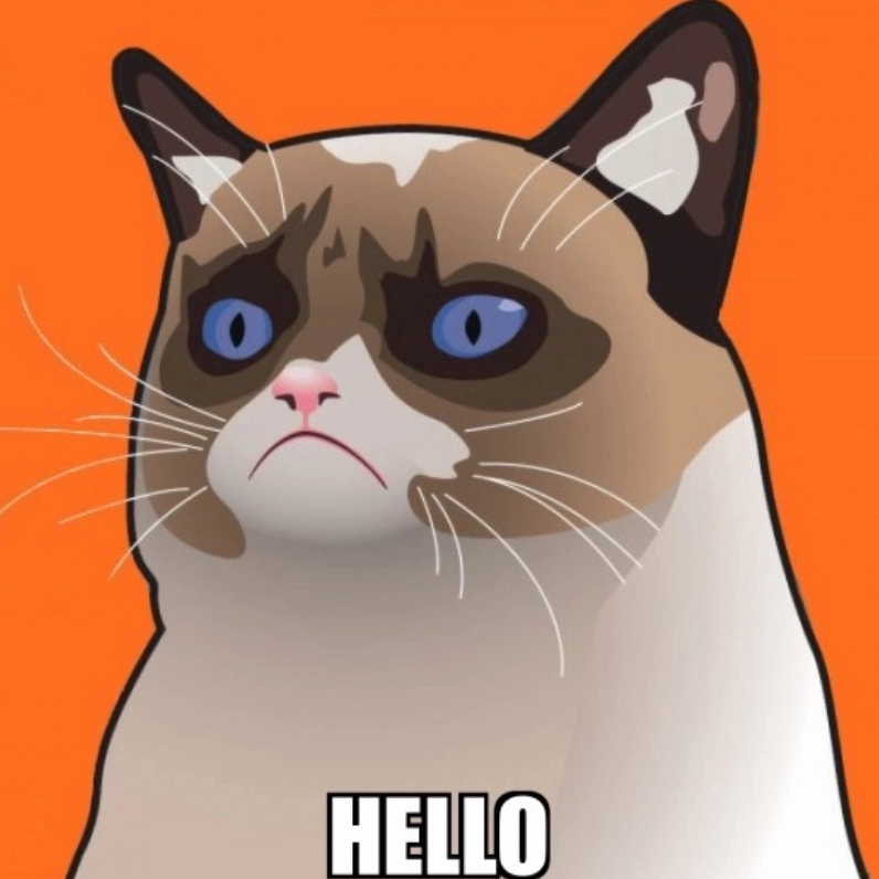 Mỗi lần mèo nói chào là y như hello meme cat viral liền
