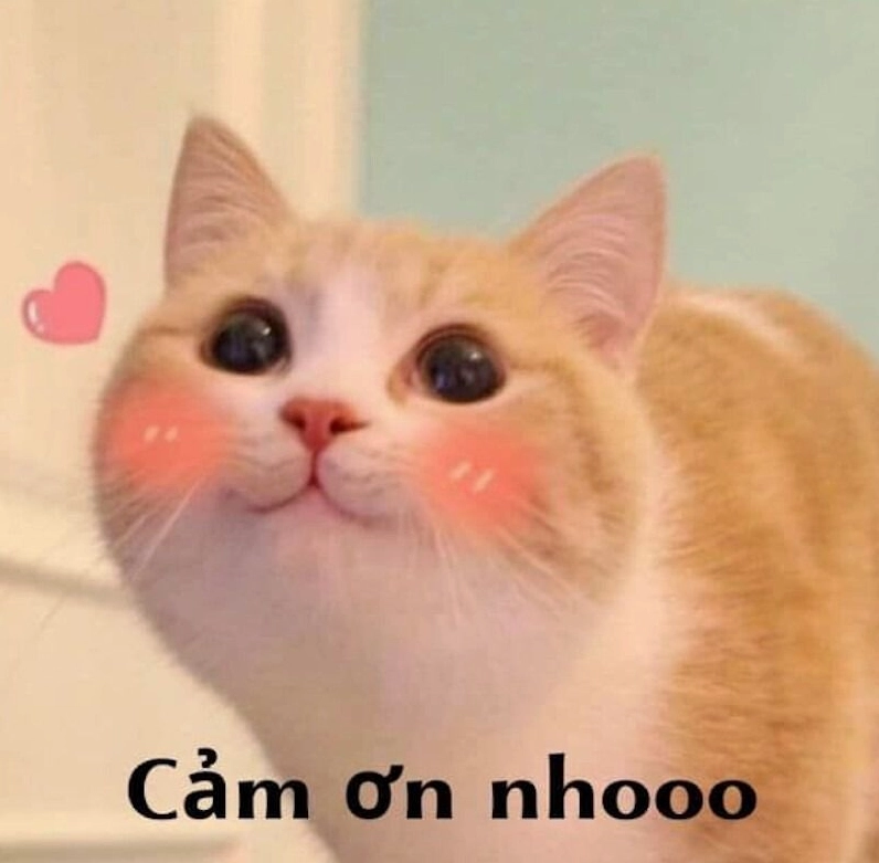Một biểu cảm xuất thần ghi trọn điểm mười tinh tế