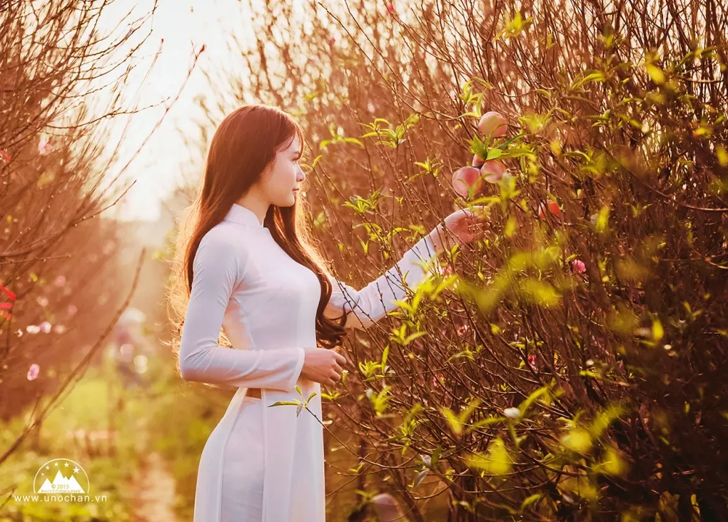 Mỹ nữ tạo dáng quyến rũ bên hoa sen