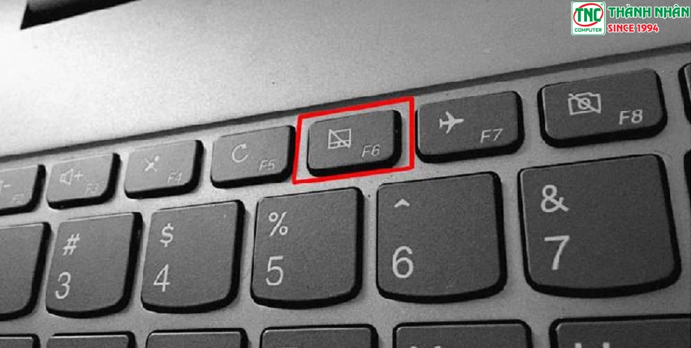 Nhấn tổ hợp phím có biểu tượng Touchpad + phím Fn