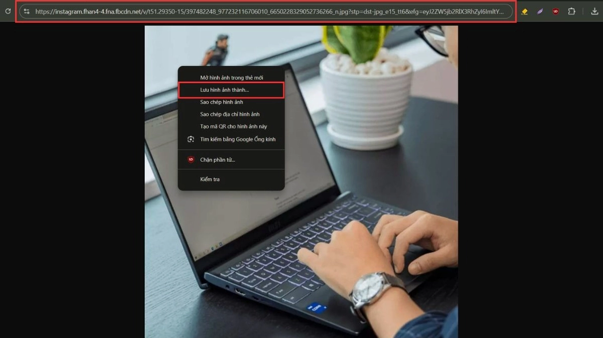 Sao chép đường dẫn URL và nhấn chọn Lưu hình ảnh thành
