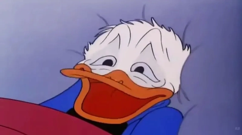 Sự hài hước siêu cấp đến từ những bức hình meme vịt donald đang viral