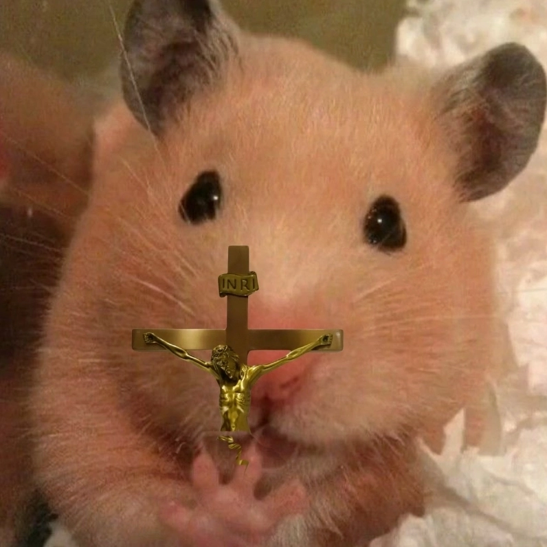 Sưu tầm ngay bộ sưu tập meme chuột hamster siêu hài hước