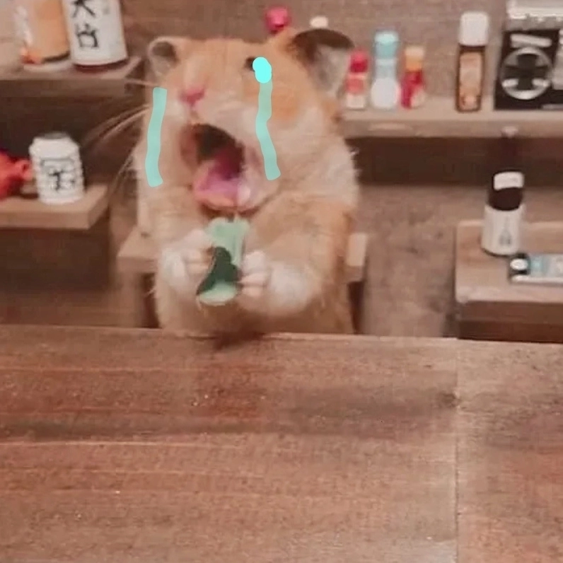 Thả stress ngay với hài hước meme chuột hamster siêu đáng yêu