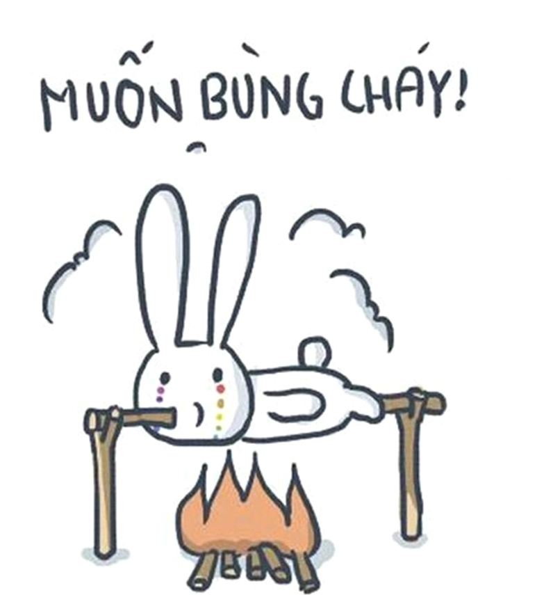 Thỏ bảy màu meme đời thường với biểu cảm hài hước