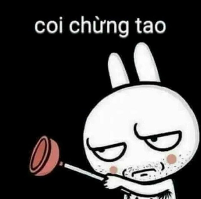 Thỏ bảy màu với biểu cảm giang hồ đầy thách thức