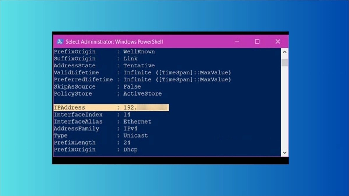 Thông tin địa chỉ IP hiển thị trong kết quả của lệnh PowerShell