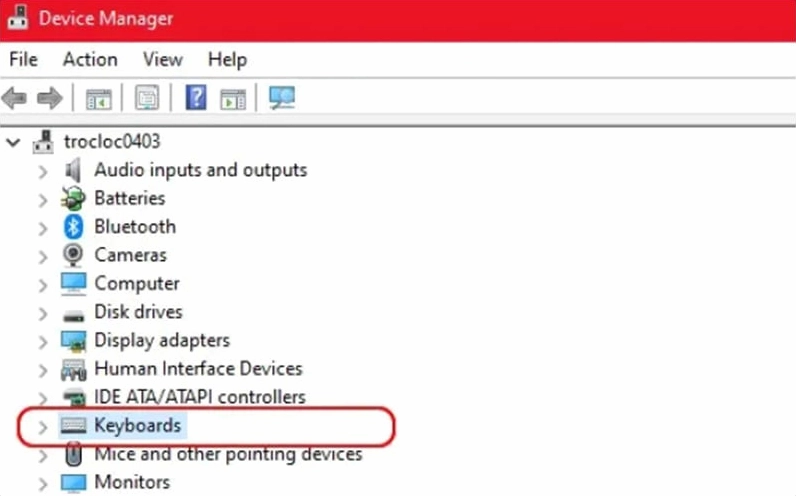 Tìm và mở rộng mục Keyboards trong Device Manager