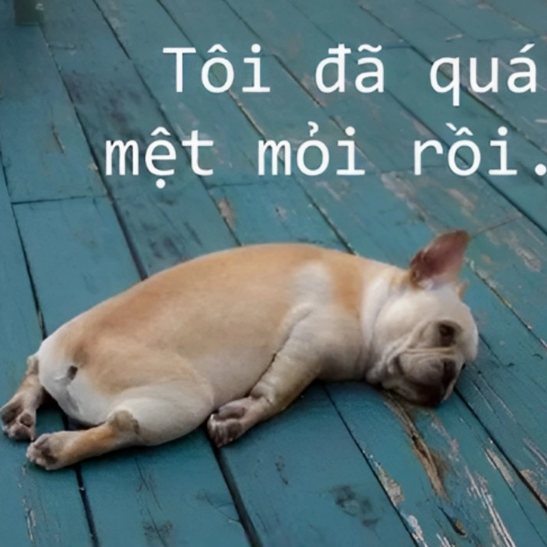 Tôi quá mệt mỏi rồi meme là cách diễn đạt cảm giác kiệt sức chân thực