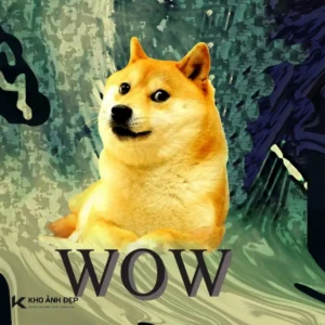 tong hop bo suu tap wow meme hai huoc va doc dao nhat 491