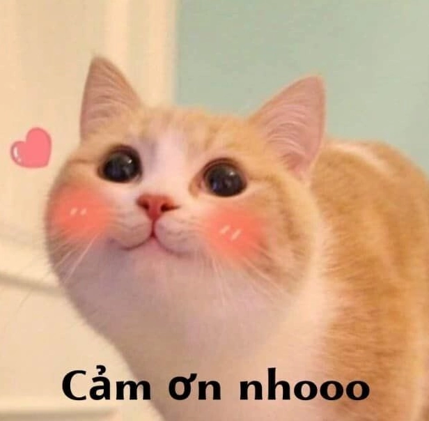 Tổng hợp thông tin thú vị về các loại hình ảnh chế bày tỏ sự biết ơn