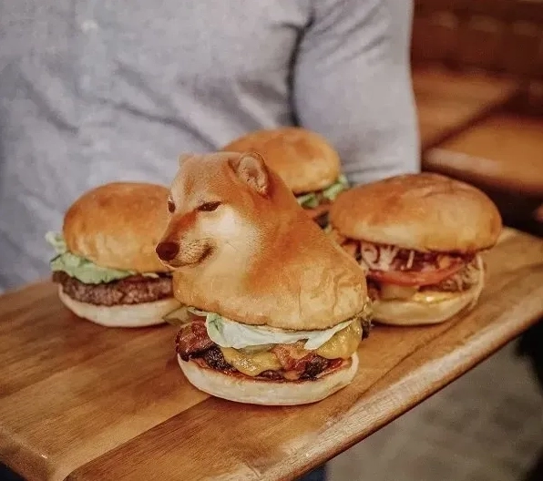 Tuyển chọn ảnh doge meme siêu dễ thương khiến bạn không thể rời mắt