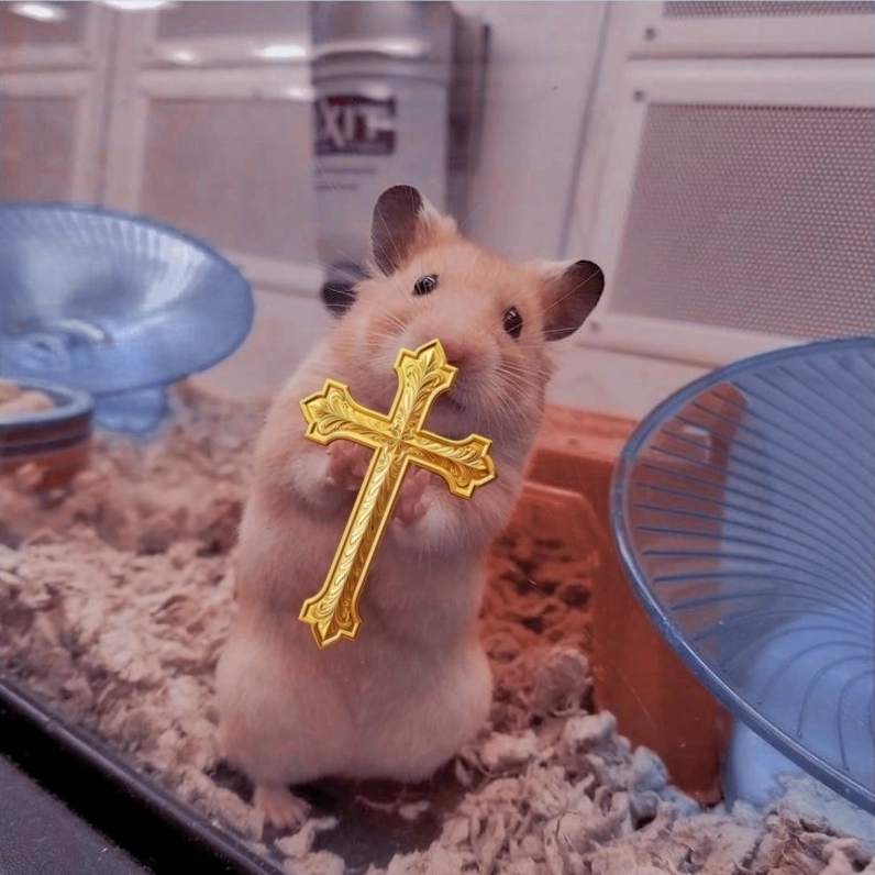 Tuyển chọn ảnh meme chuột hài hước nhất năm với biểu cảm độc lạ